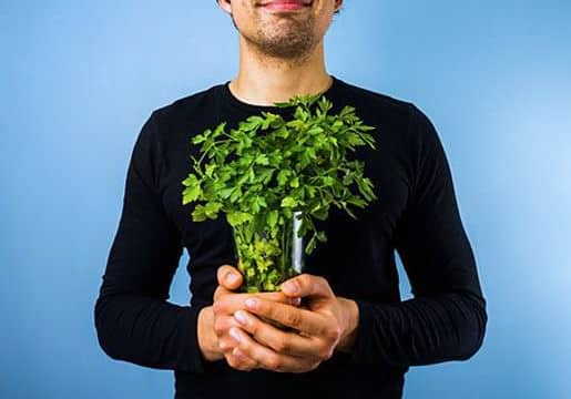 man and parsley