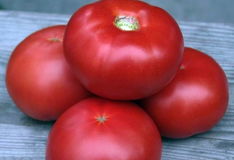 vzhled rajčatového kibo