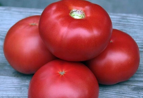 Aussehen von Tomaten-Kibo