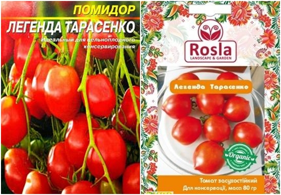 Légende des graines de tomates Tarasenko