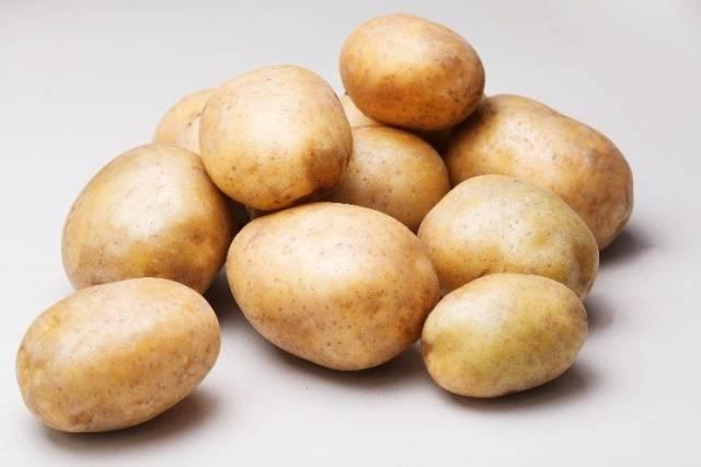 Ragneda brambory