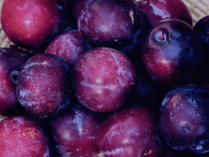 plums (without pits and skins)