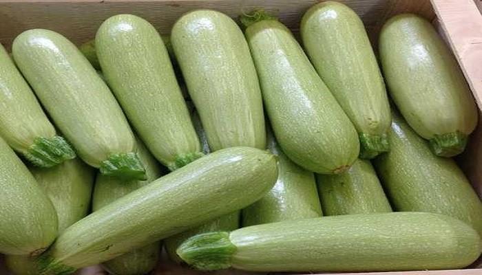 Die besten Zucchini-Sorten für 2024