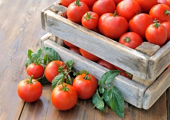 Tretyakov tomato in a box