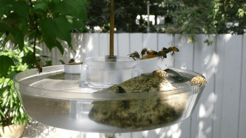 Foto napáječky pro včely