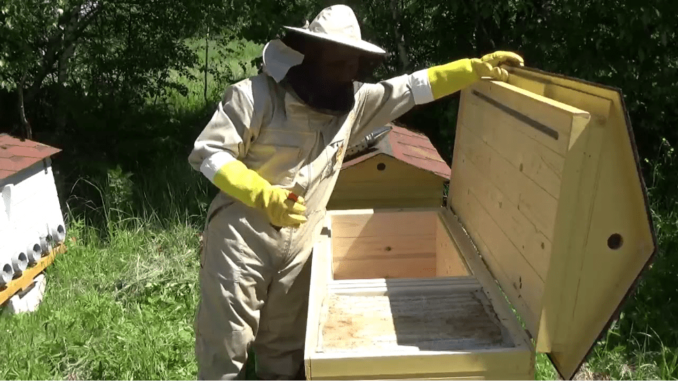 Bienenstockliege geöffnet 