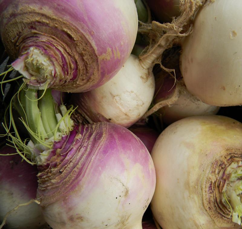 turnip vegetable