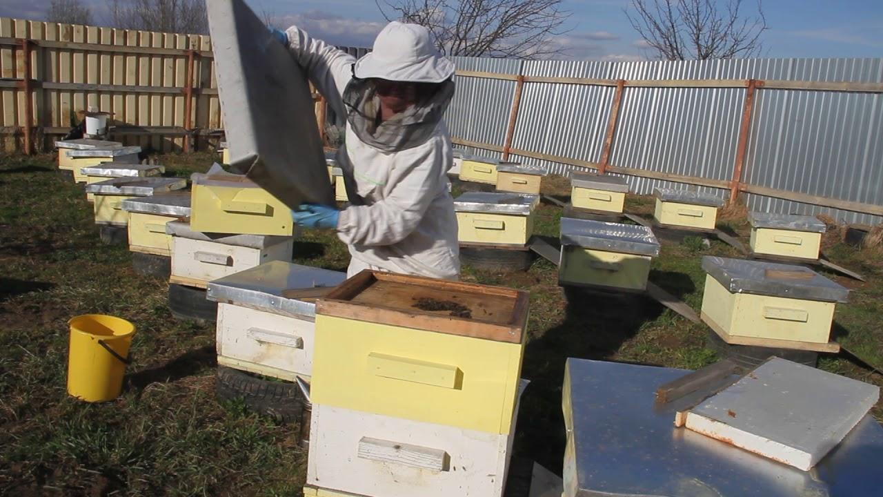 Bienenzucht in Kanada