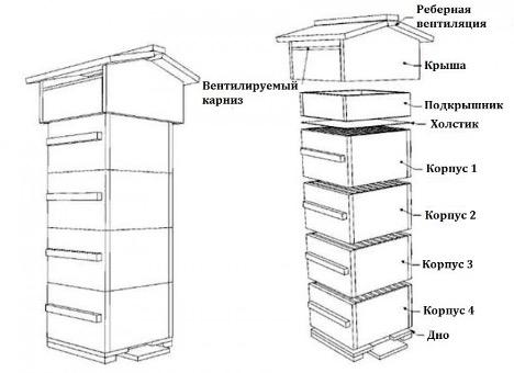 beehive drawing