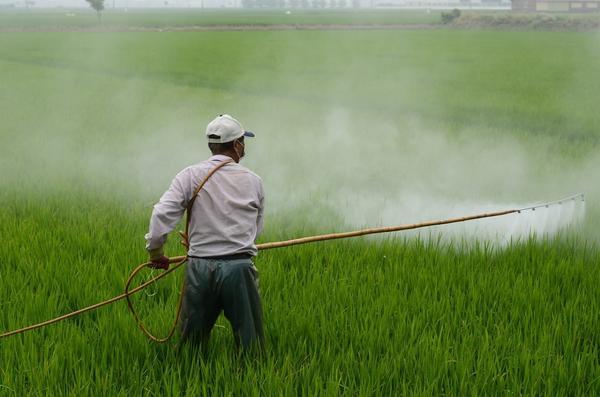 treballant amb herbicides