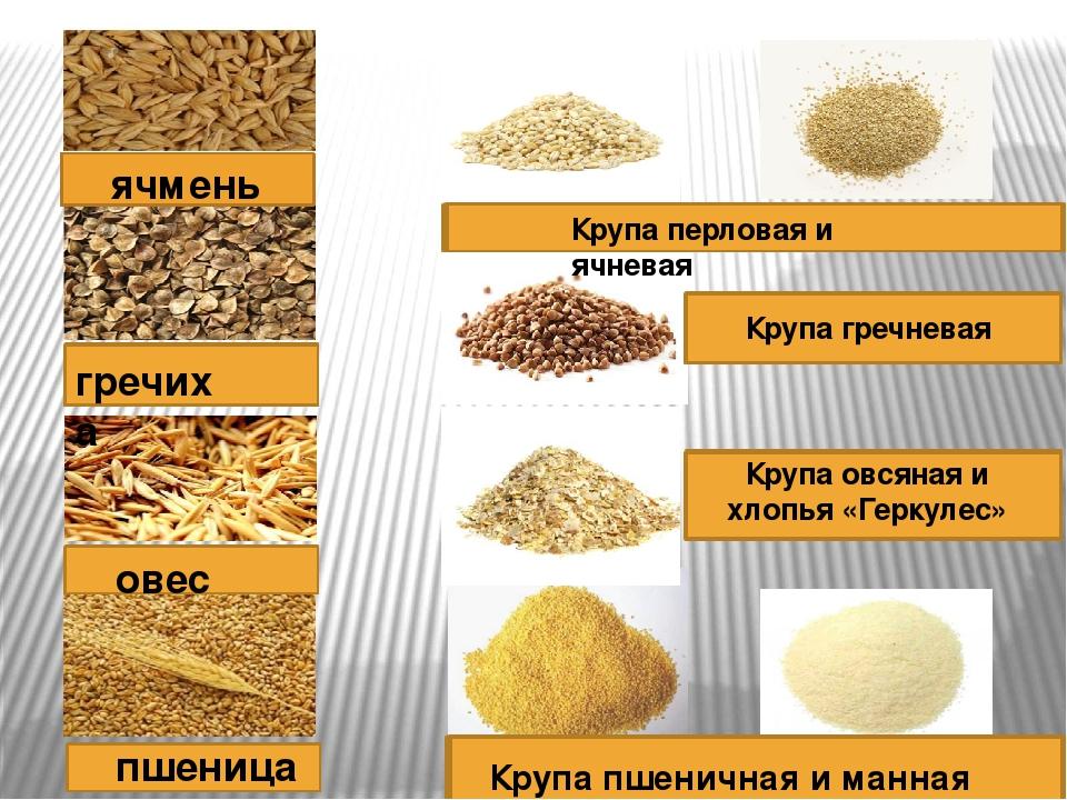 What is made from barley