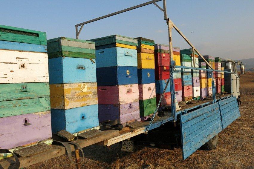 transport d'abeilles