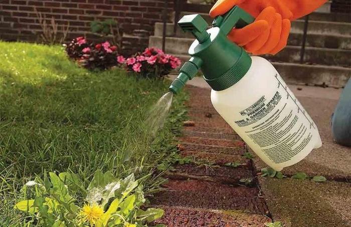 oprichnik herbicide-instructies voor gebruik