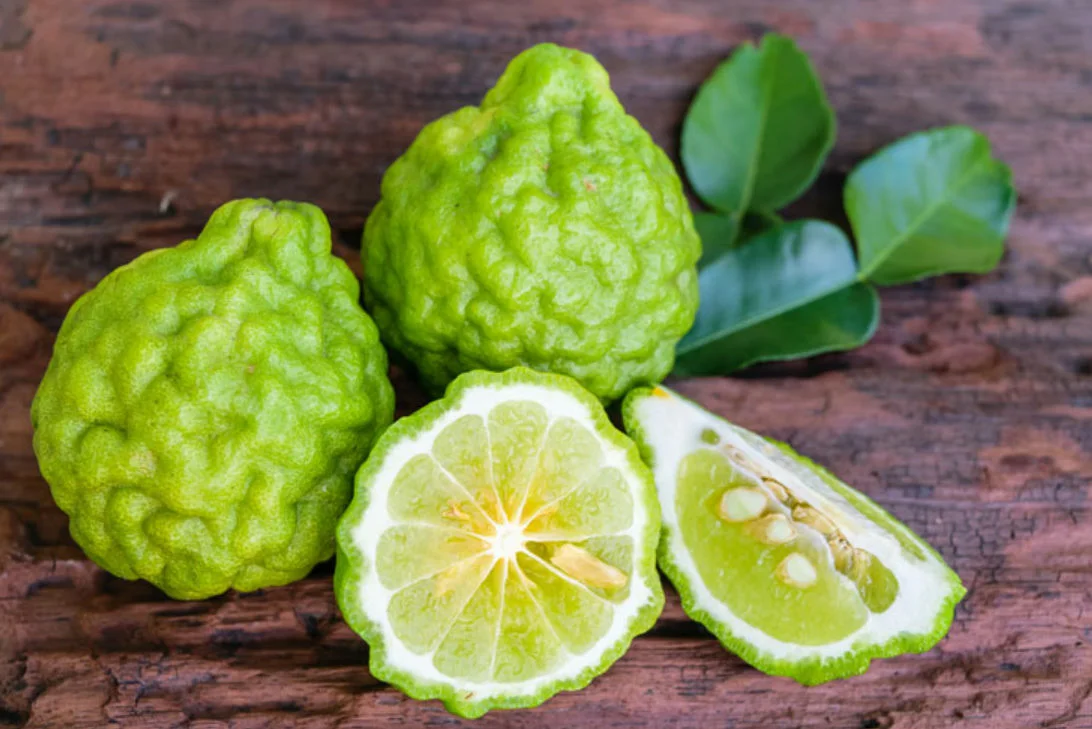 Description of bergamot photo