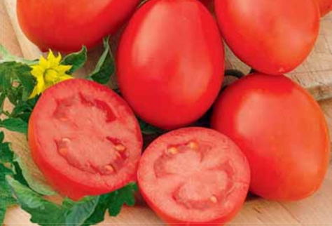 appearance of marusya tomato 