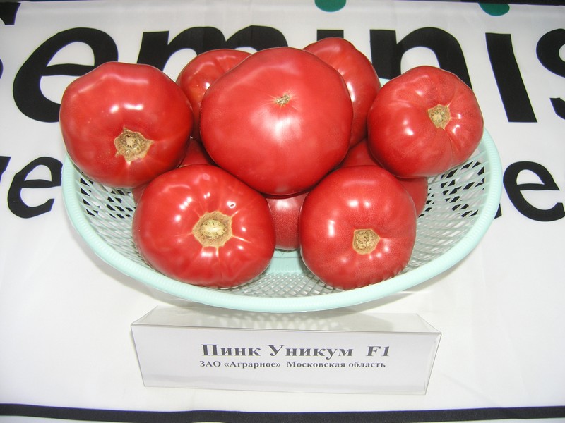 jedinečný vzhled rajčatově růžové