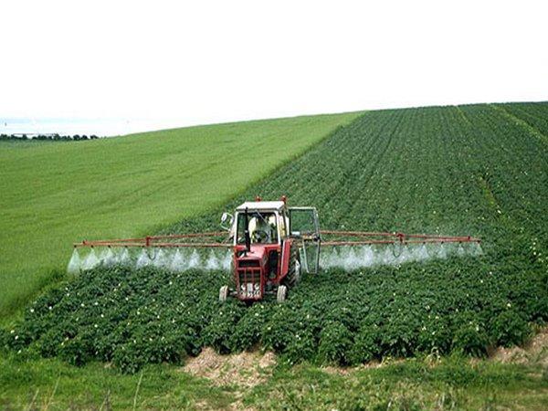 rociando el campo