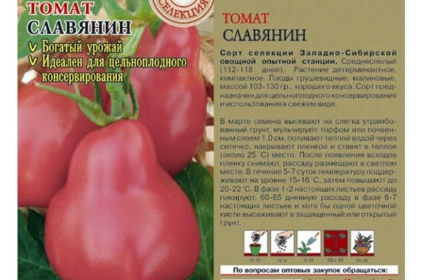 tomato seeds Slavyanin