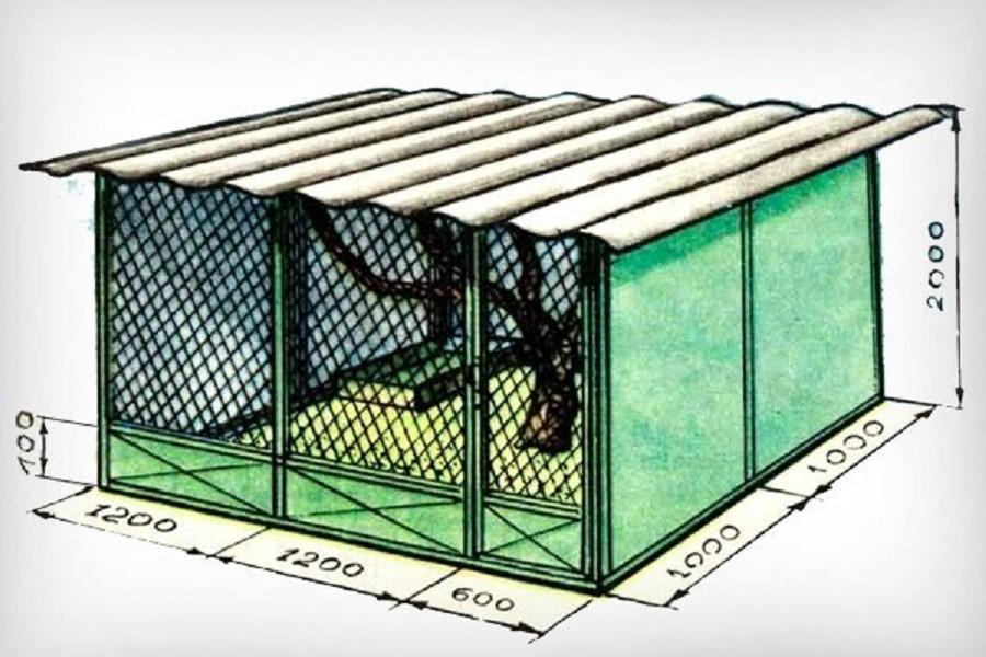 aviary for guinea fowl