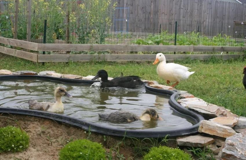 Piscine à faire soi-même