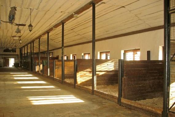 horse stall