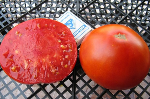 Tomaten und Begasungsgeräte