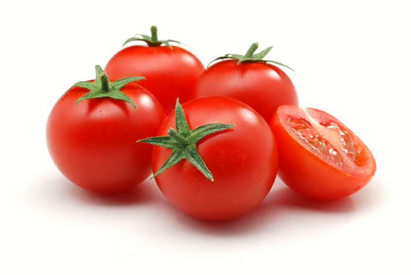 Tomate de Leningrad à maturation précoce