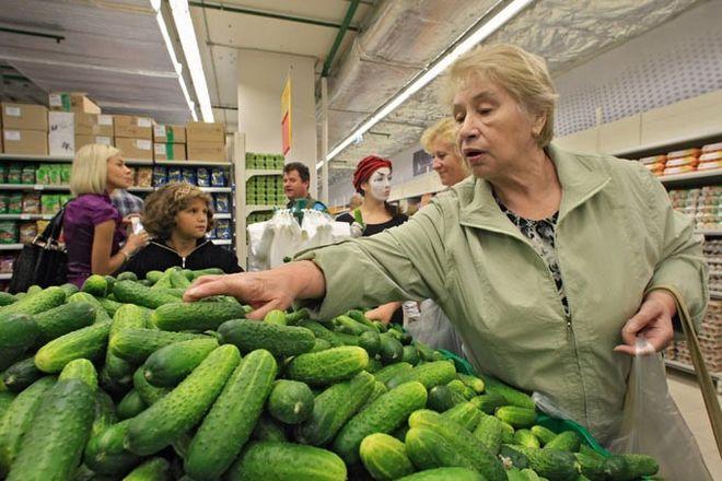 a lot of cucumbers