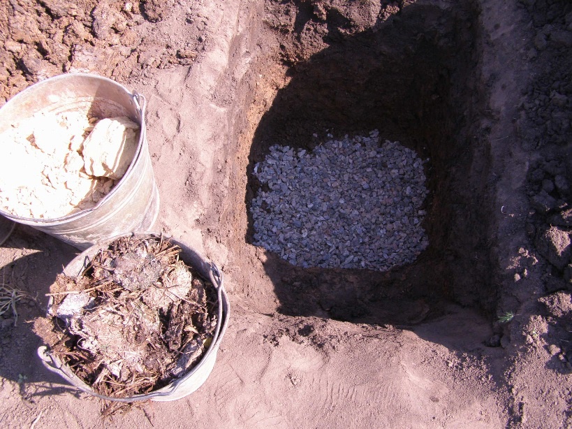 pit for grapes