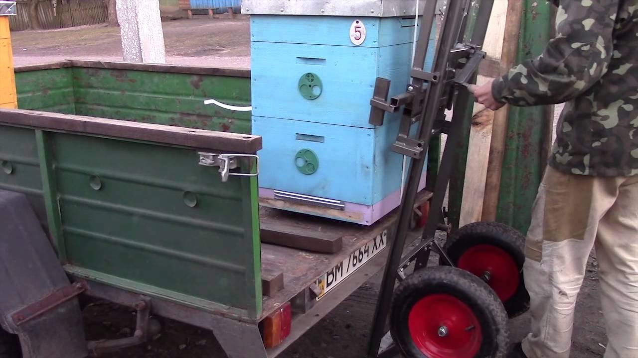 transport d'abeilles