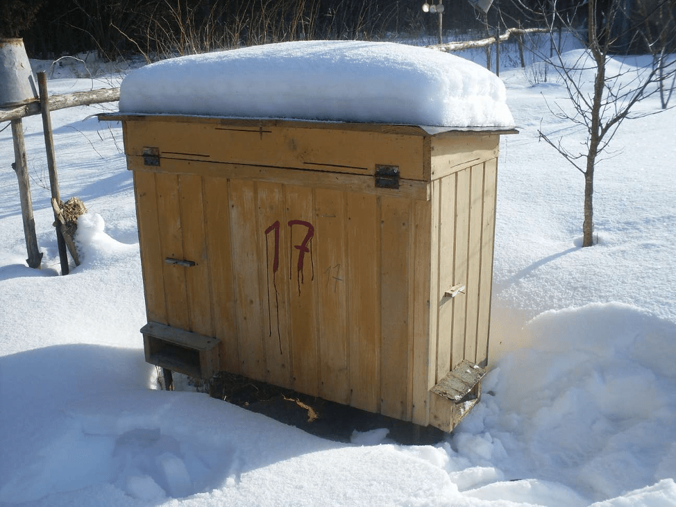 Bienenstockliege im Winter