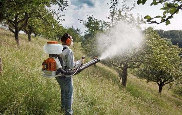 weed killer instructions