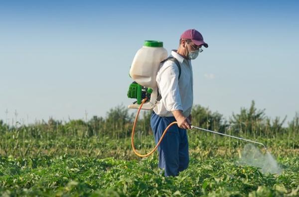 Górna część gumki do usuwania herbicydów