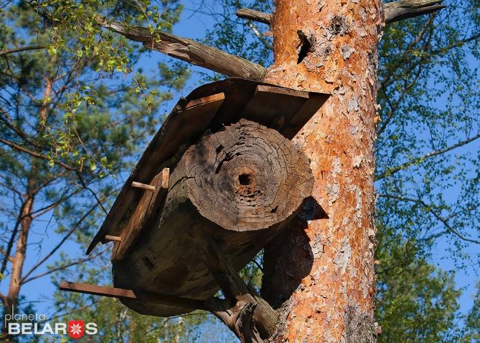 шта је пчеларство