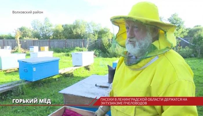 l'apiculture dans la région de Léningrad