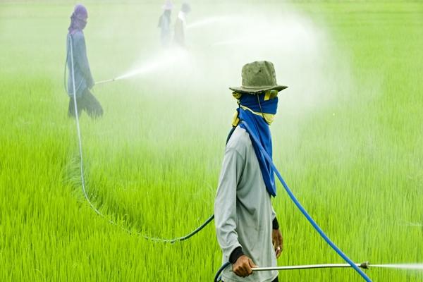 práce s herbicidy na poli