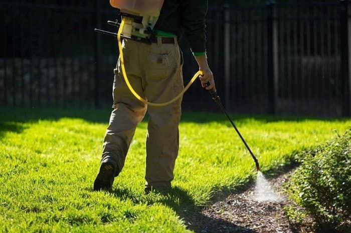 mode d'emploi de l'herbicide oprichnik