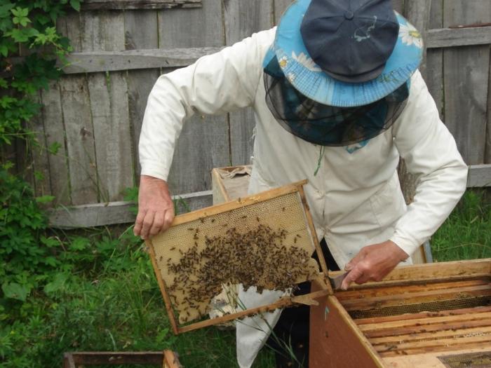 how to pump honey