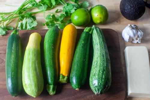 Die besten Zucchini-Sorten für 2024