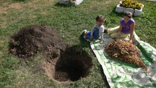 planter un pommier dans la région de Moscou