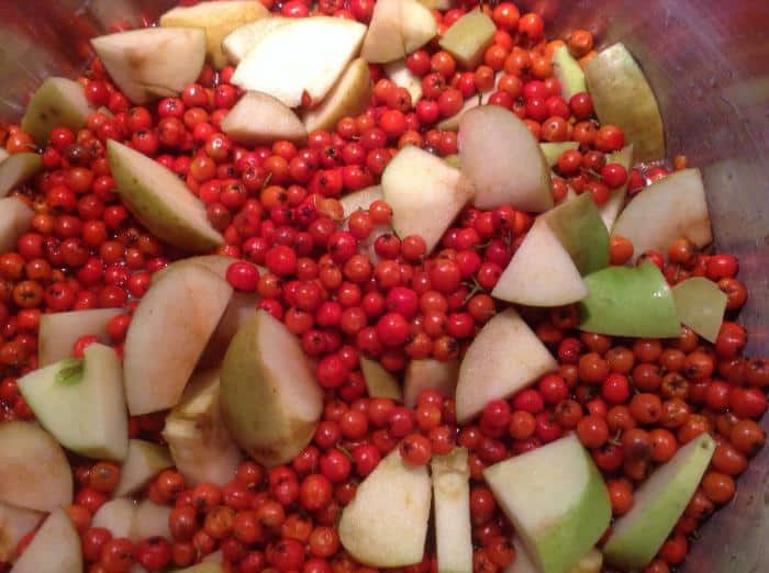 Confiture d'airelles aux pommes