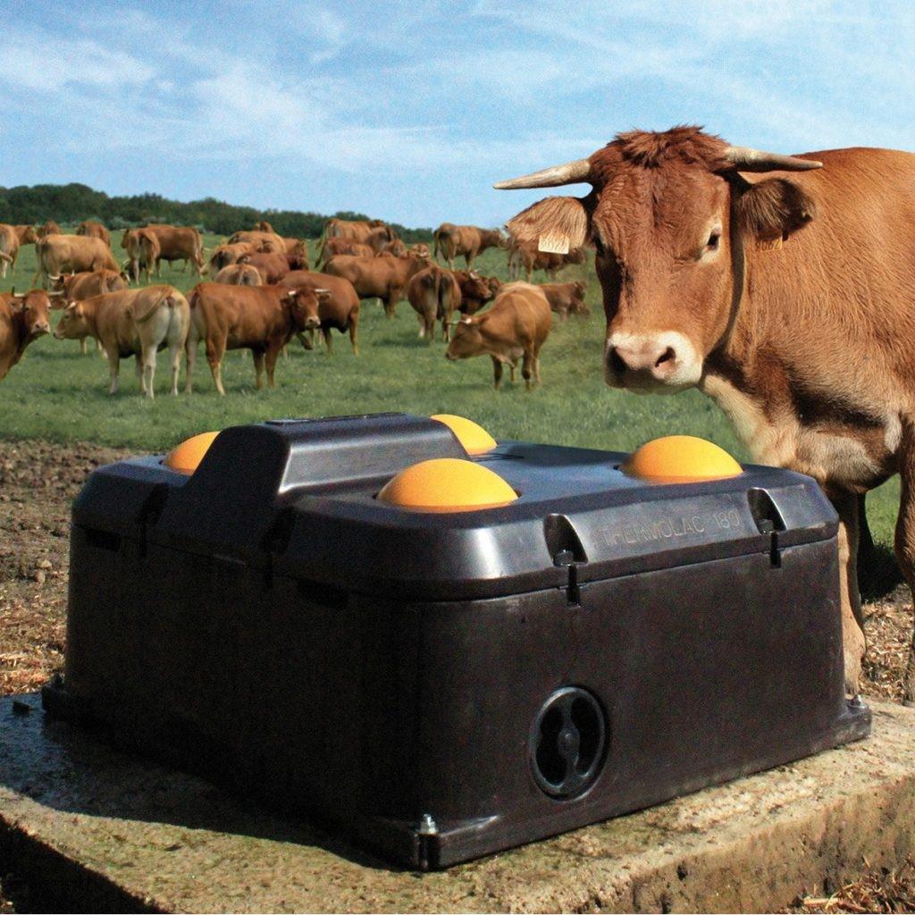 drinking bowls for cows