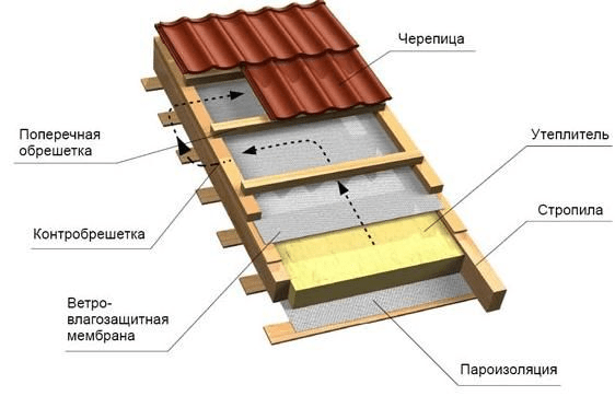 смуђ за ћурке