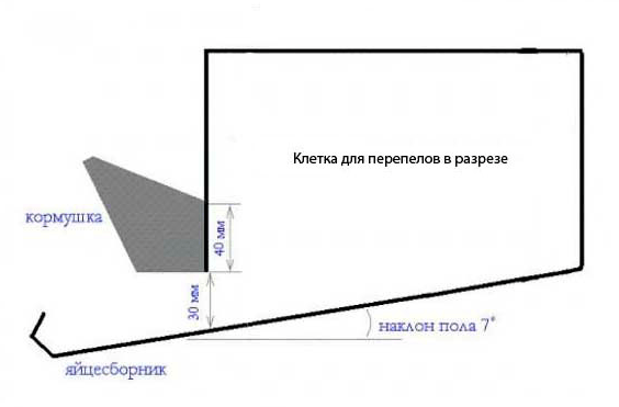 ДИИ спарровхавк