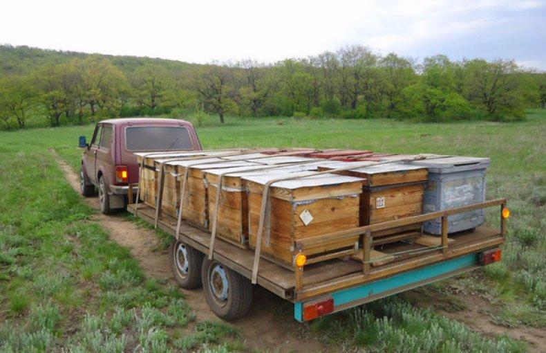 transport d'abeilles