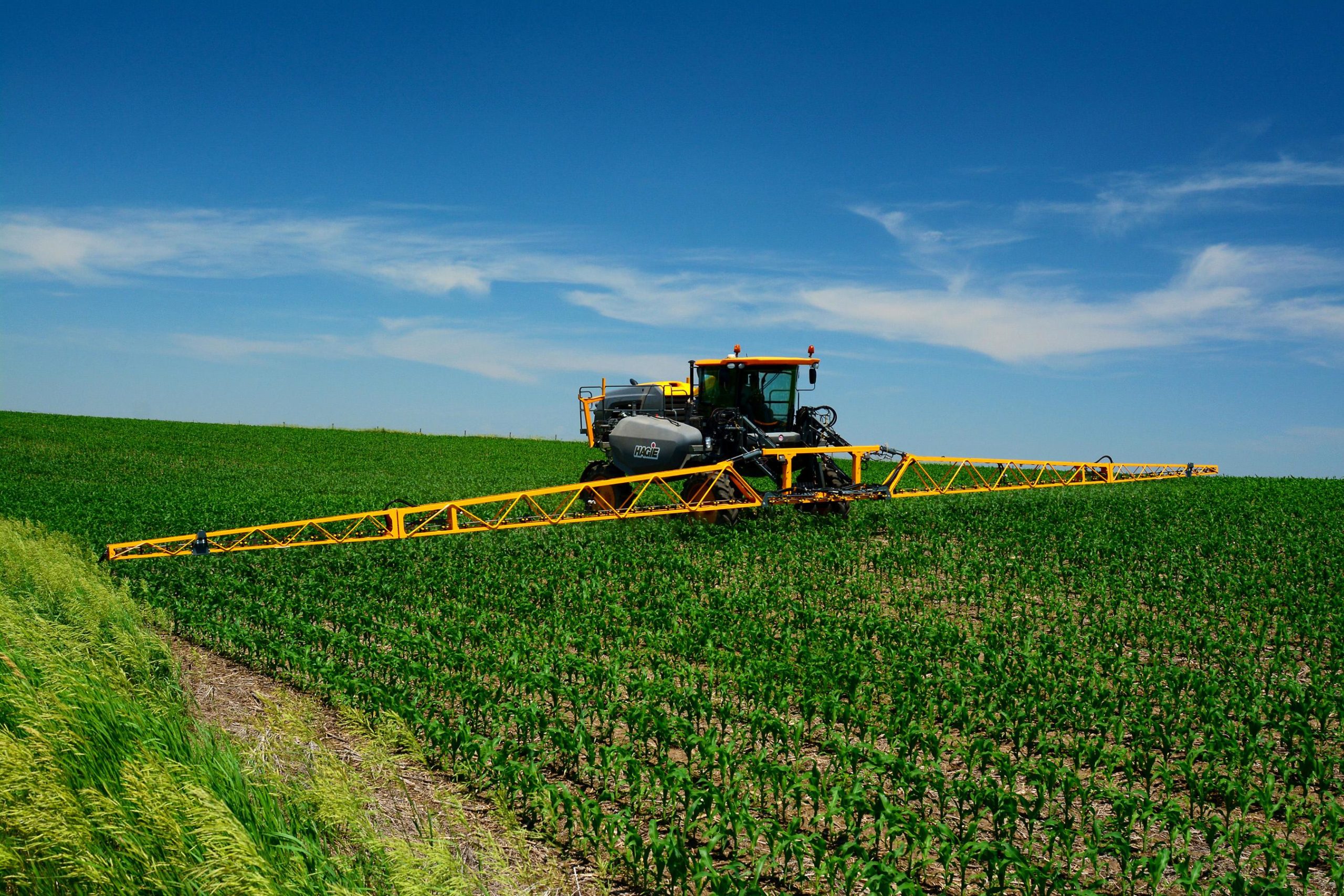 El papel de la producción agrícola en la Federación de Rusia