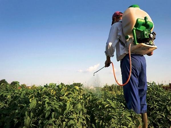 herbicide voor boksers