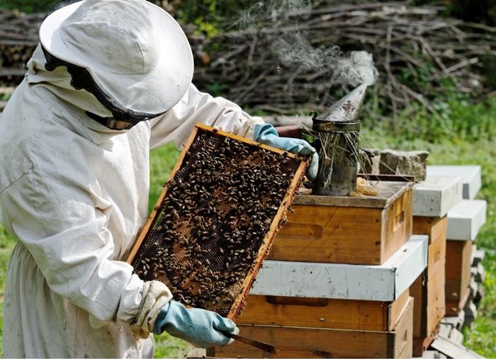 beekeeper calendar