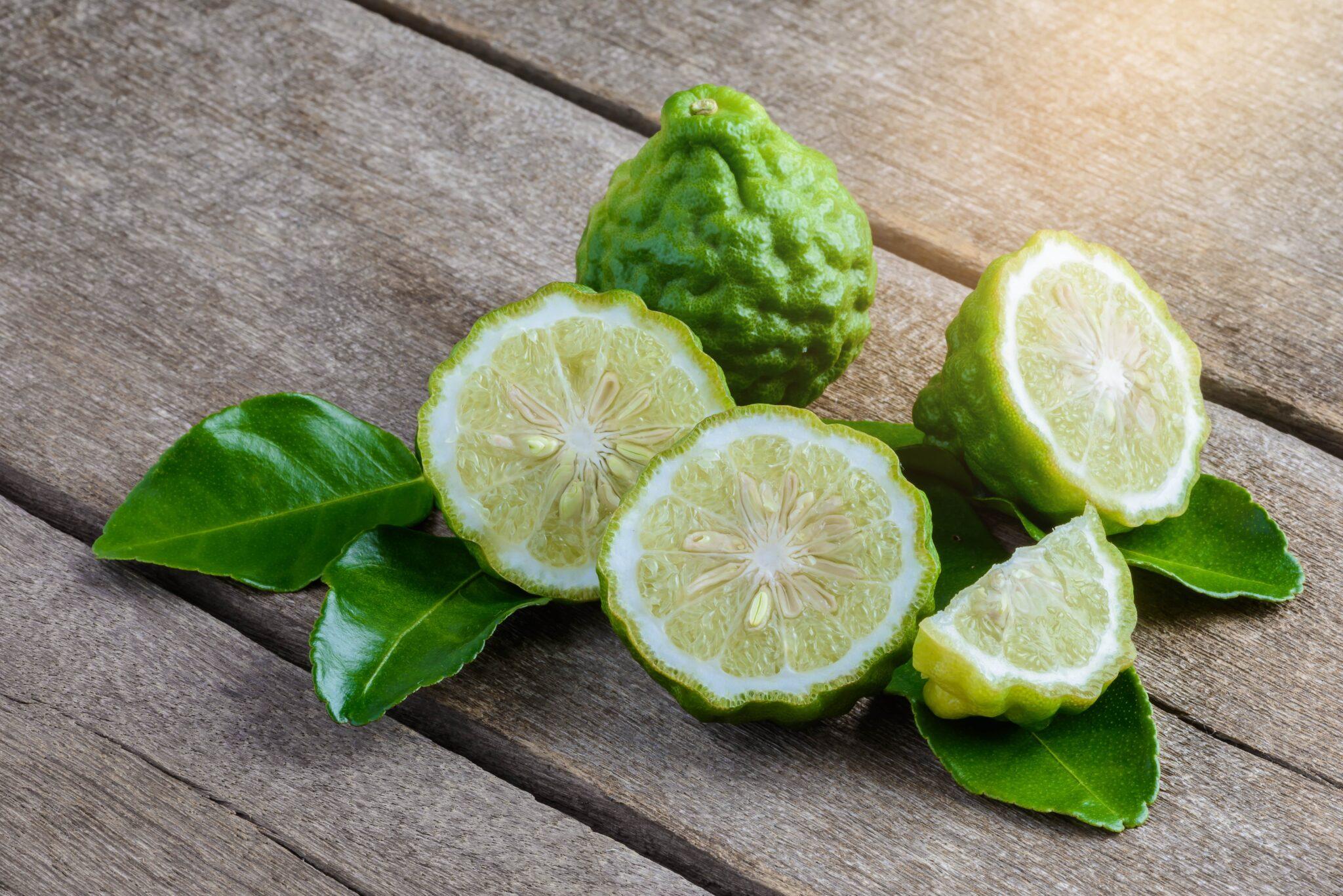 Description of bergamot plant