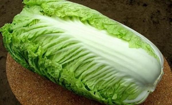 Salatkohl